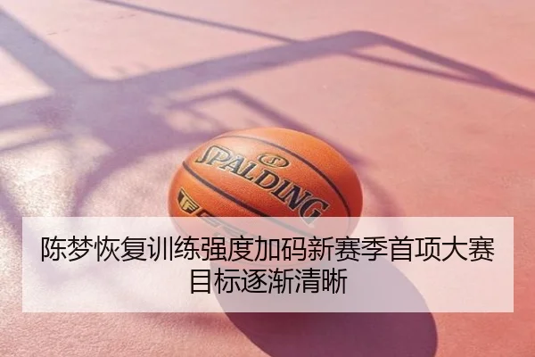陈梦恢复训练强度加码新赛季首项大赛目标逐渐清晰
